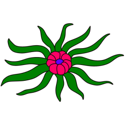 Plant 3