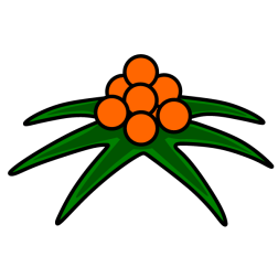 Plant 7