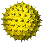 Pollen2
