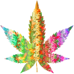 Psychedelic Marijuana Leaf