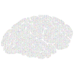 Prismatic alphanumeric brain