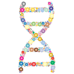 Prismatic DNA Helix Circles 2