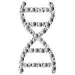 Prismatic DNA Helix Circles 3