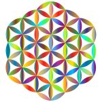Prismatic Flower Of Life
