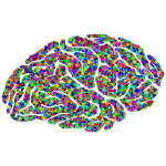 Prismatic Low Poly Brain