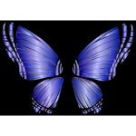 RGB Butterfly Silhouette 10 10