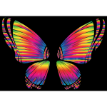 RGB Butterfly Silhouette 10 8