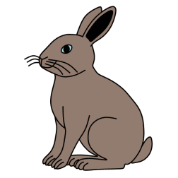 Rabbit II