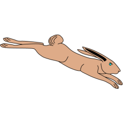 Rabbit XII