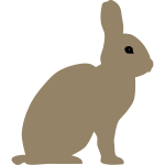 Rabbit by Rones