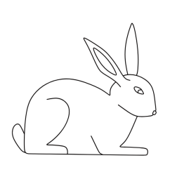 Rabbit XVI