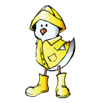 Chick with Raincoat