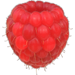 Raspberry image