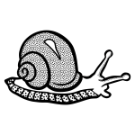 Spotty snail line art vector image