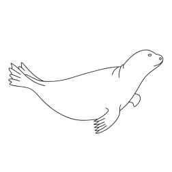 Seal IV