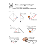 Instructions for making a paper grasshopper vector illustration