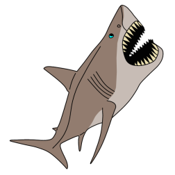 Shark 16