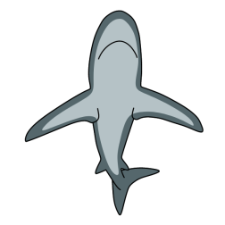 Shark 21