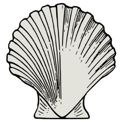 Simple sea shell