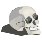 Skull wearing sunglasses