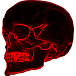 Skull19