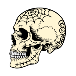 Skull XXVII