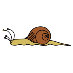 Snail 7