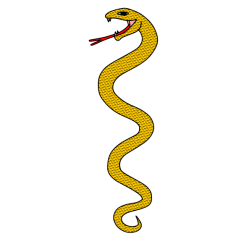 Snake 27