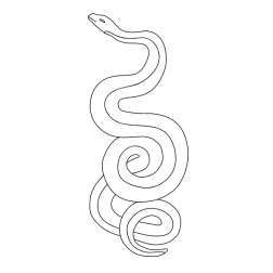 Snake 38