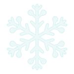 Snowflake 11