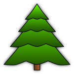Evergreen tree image