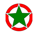 Star emblem vector image