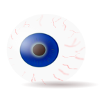 Vector clip art of an eyeball complete with veins