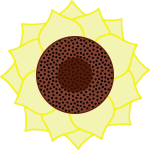 Sunflower vector clip art