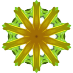 SunflowerKaleidoscope10