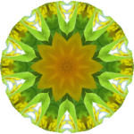 SunflowerKaleidoscope11