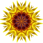 SunflowerKaleidoscope18