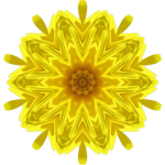 SunflowerKaleidoscope2