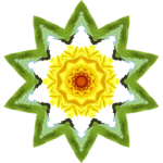 SunflowerKaleidoscope26
