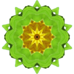 SunflowerKaleidoscope7