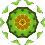 SunflowerKaleidoscope8