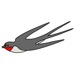 Swallow 1