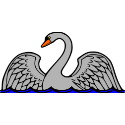 Swan III
