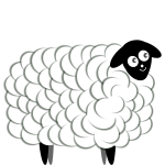 Fluffy sheep