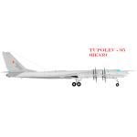 TUPOLEV 95 airplane
