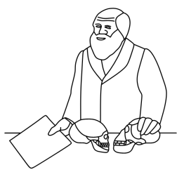 Teacher III
