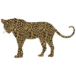 Textured Leopard