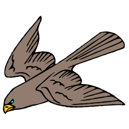 The bird swoops down on its prey