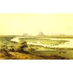 African scene with Niger