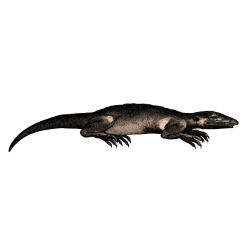 The old evil lizard II